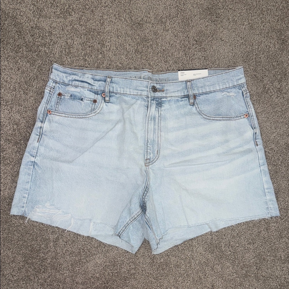 American Eagle Outfitters Light Wash Denim Shorts